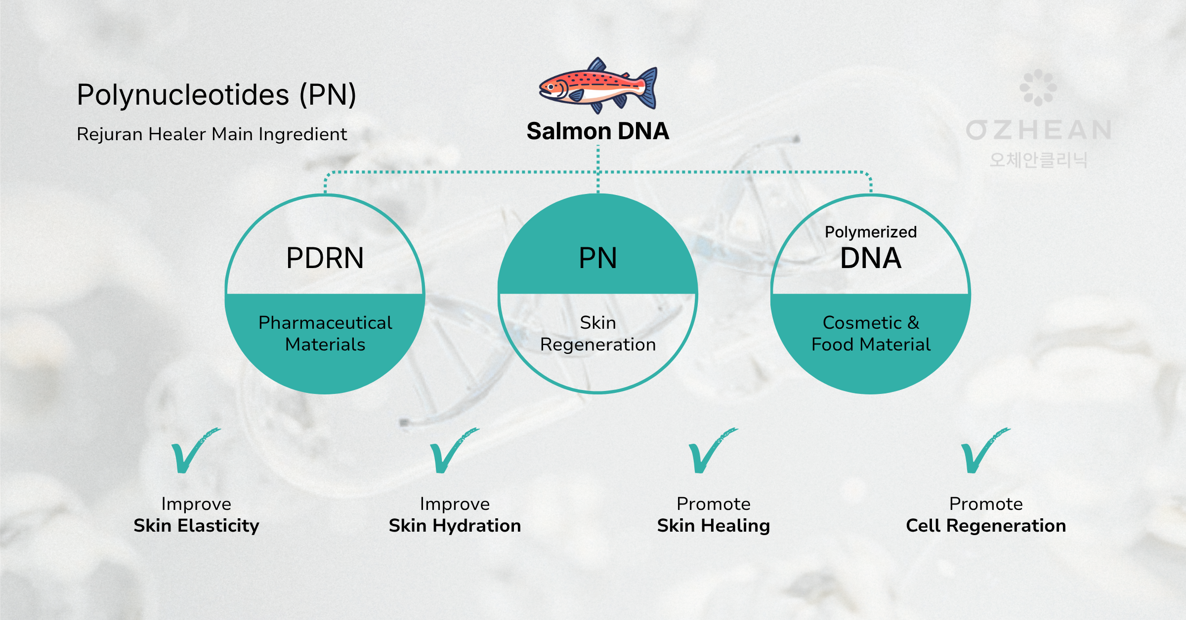 rejuran-ozhean-clinic-2